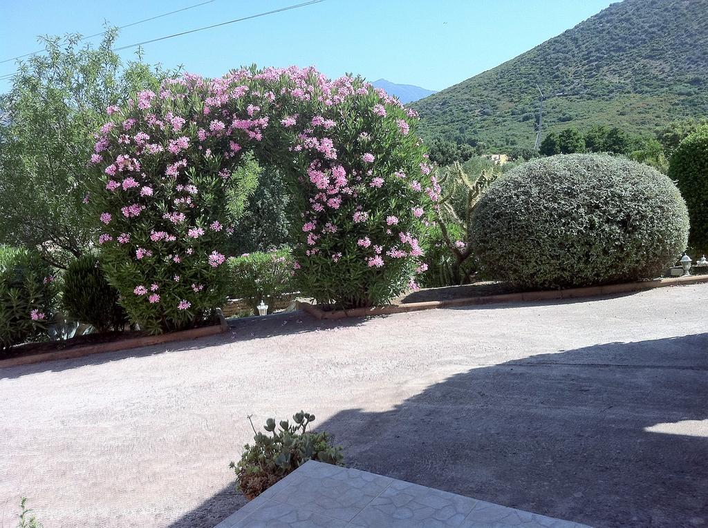Villa Elofred Saint-Florent  Kültér fotó