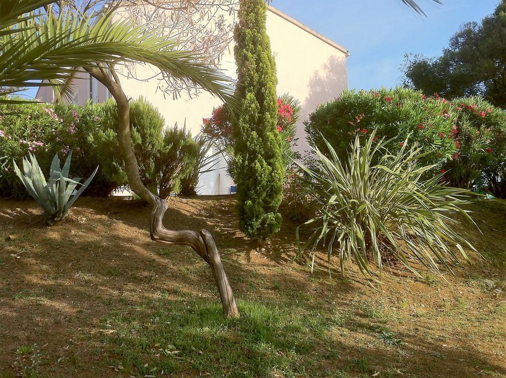 Villa Elofred Saint-Florent  Kültér fotó