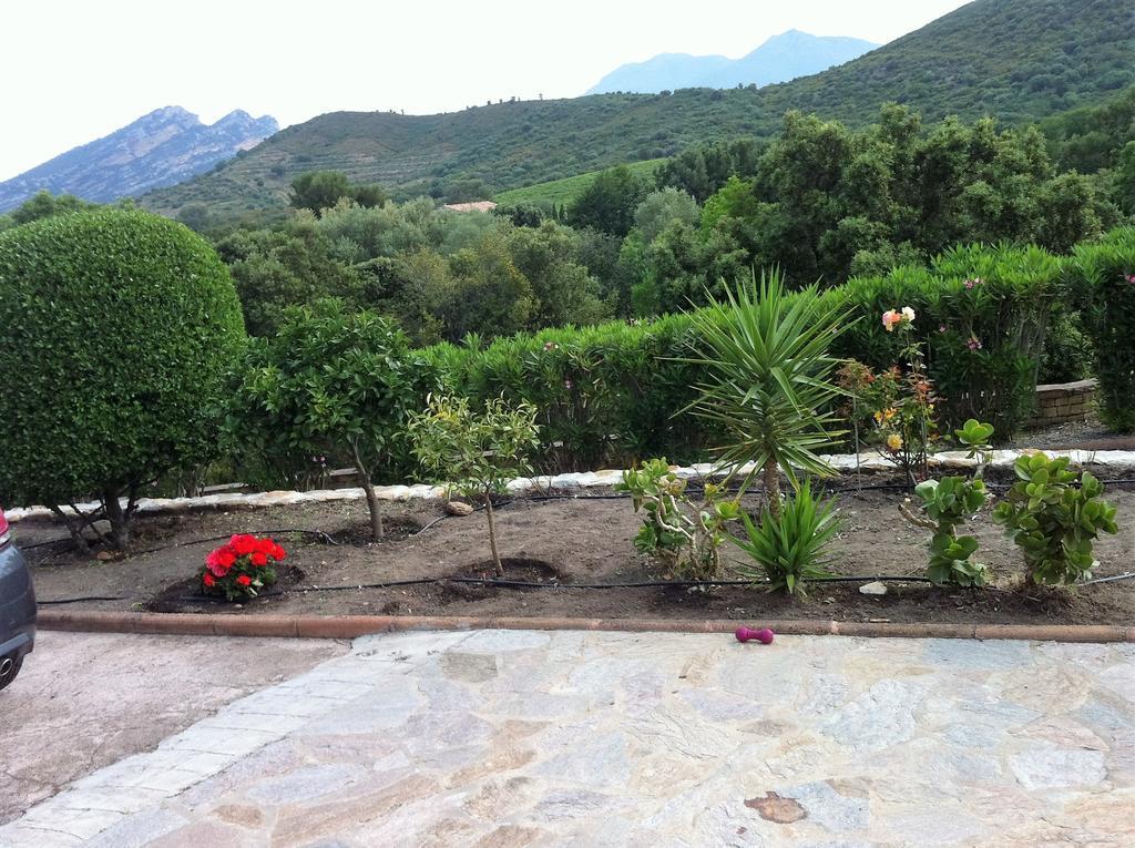 Villa Elofred Saint-Florent  Kültér fotó
